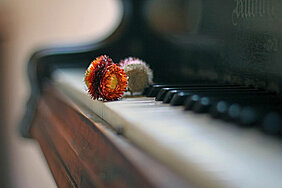 Foto: sommerliches Klavierspiel
